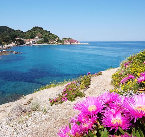 Sant'Andrea, Isola d'Elba